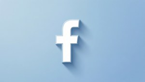Minimalist Facebook Logo