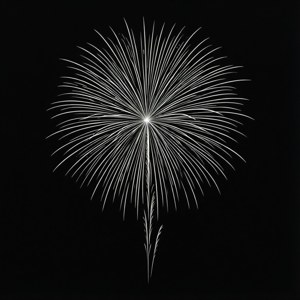 Minimalist Firework Line Art
