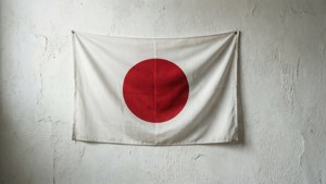 Minimalist Flag