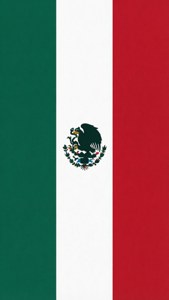 Minimalist Flag Design