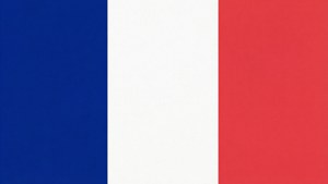 Minimalist Flag
