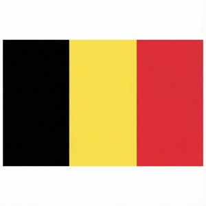 Minimalist Flag Icon
