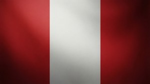 Minimalist Flag Texture