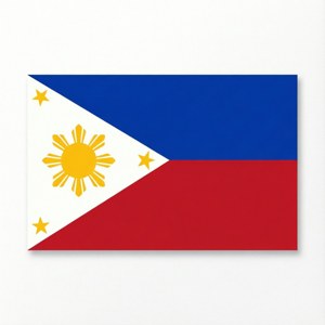 Minimalist Flag Vector