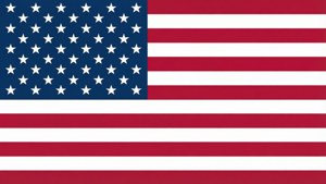 Minimalist Flag Vector