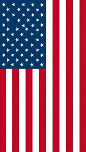 Minimalist Flat Flag