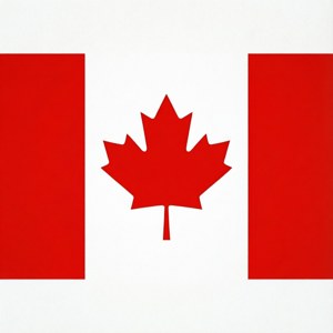 Minimalist Flat Flag