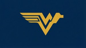 Minimalist Flying WV