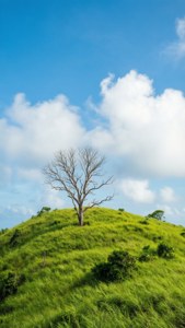 Minimalist Green Hill