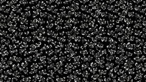 Minimalist Holly Pattern B&W