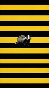 Minimalist Hufflepuff Stripes