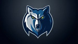 Minimalist Logo