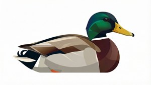 Minimalist Mallard