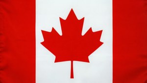 Minimalist Maple Leaf