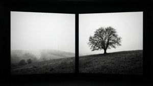Minimalist Monochrome