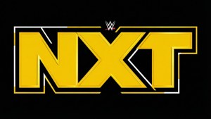 Minimalist NXT