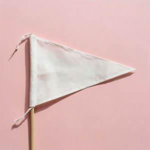 Minimalist Pastel Pennant