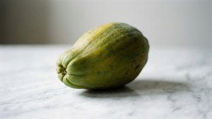Minimalist Pawpaw Study