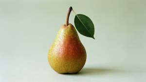 Minimalist Pear and Leaf