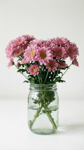 Minimalist Pink in Jar