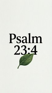 Minimalist Psalm 23:4