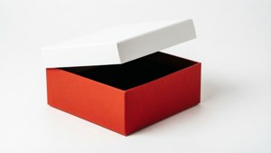 Minimalist Red Box
