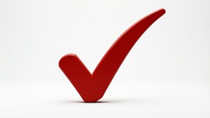 Minimalist Red Checkmark