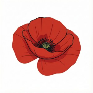 Minimalist Red Poppy