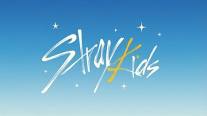 Minimalist SKZ Logo