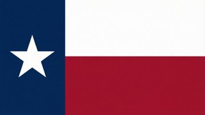 Minimalist Texas Flag