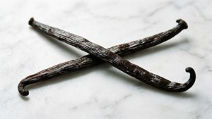 Minimalist Vanilla Beans