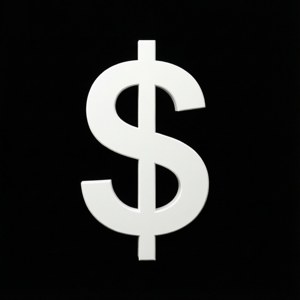 Minimalist White Dollar