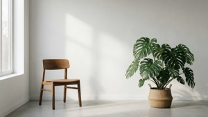 Minimalist White Room