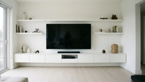 Minimalist White TV Room