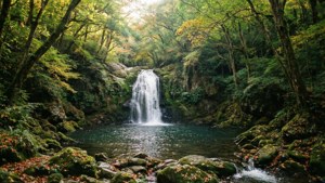 Minoo Falls Serenity