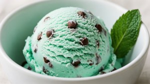 Mint Chip Single Scoop