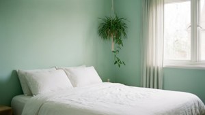 Mint Green Minimalist Bedroom