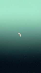 Mint Green Night Gradient