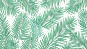 Mint Green Palm Leaves