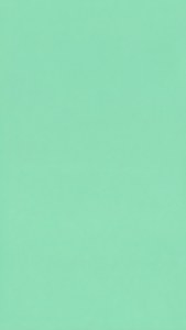 Mint Green Placeholder