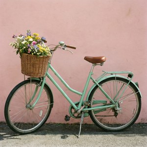 Mint Green Vintage Bicycle