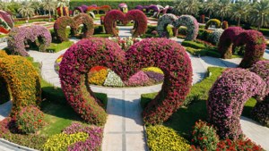 Miracle Garden Bloom Explosion