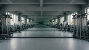Mirror Symmetry