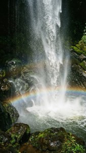 Mist and Rainbow