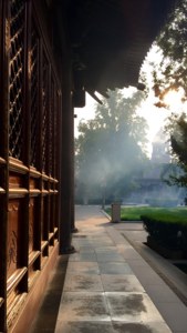 Mist at the Great Mosque