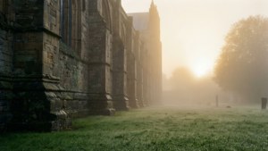 Misty Cathedral Morning