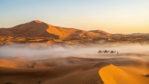 Misty Desert Dunes Sunrise
