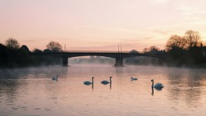 Misty Exe Dawn