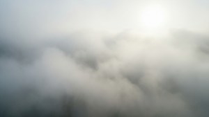 Misty Fog Overlay
