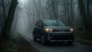 Misty Forest Drive
